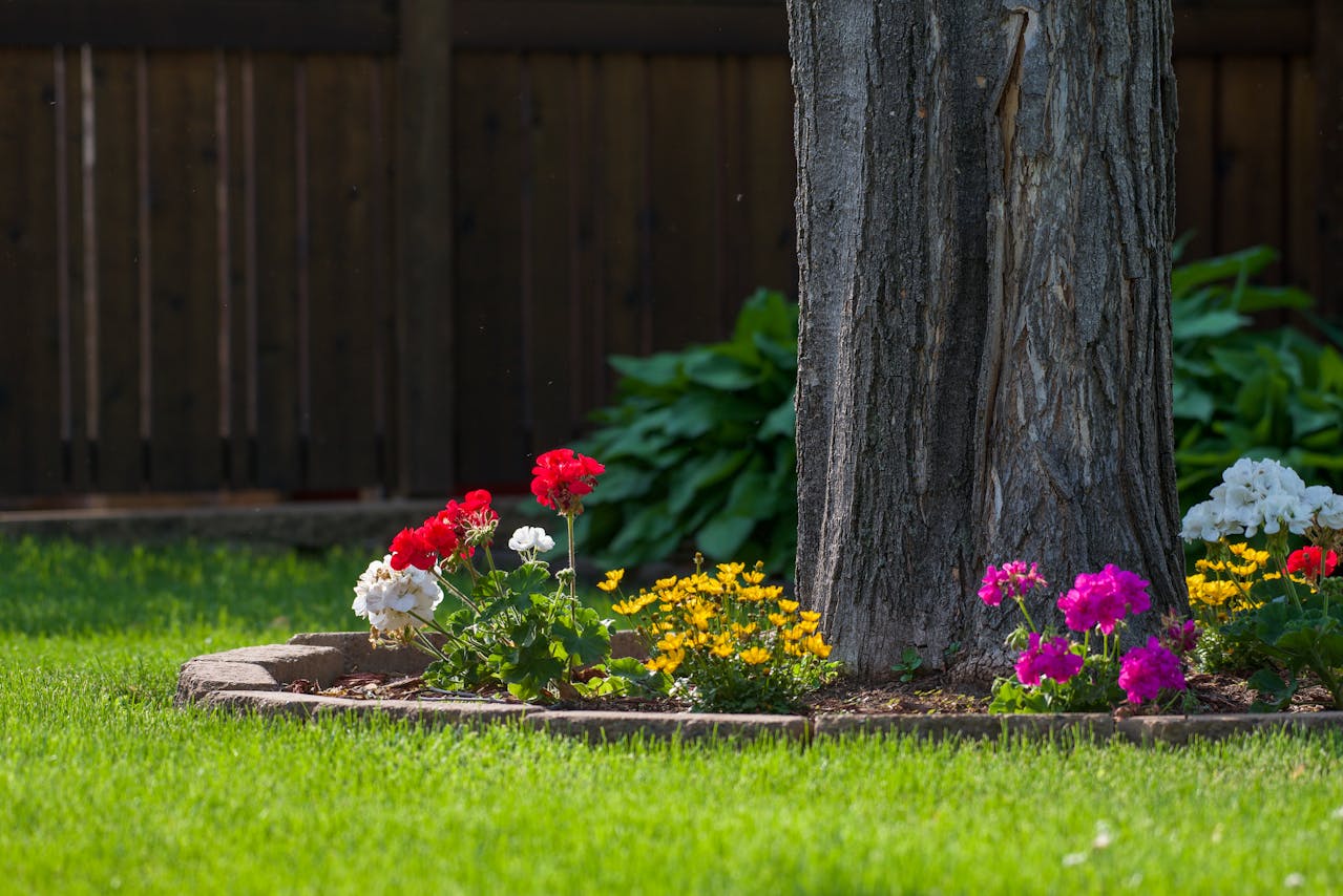 Your Guide To Tree Health: From Planting To Pruning