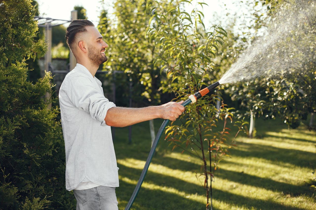 Tree Health Essentials: The Benefits Of Proper Watering