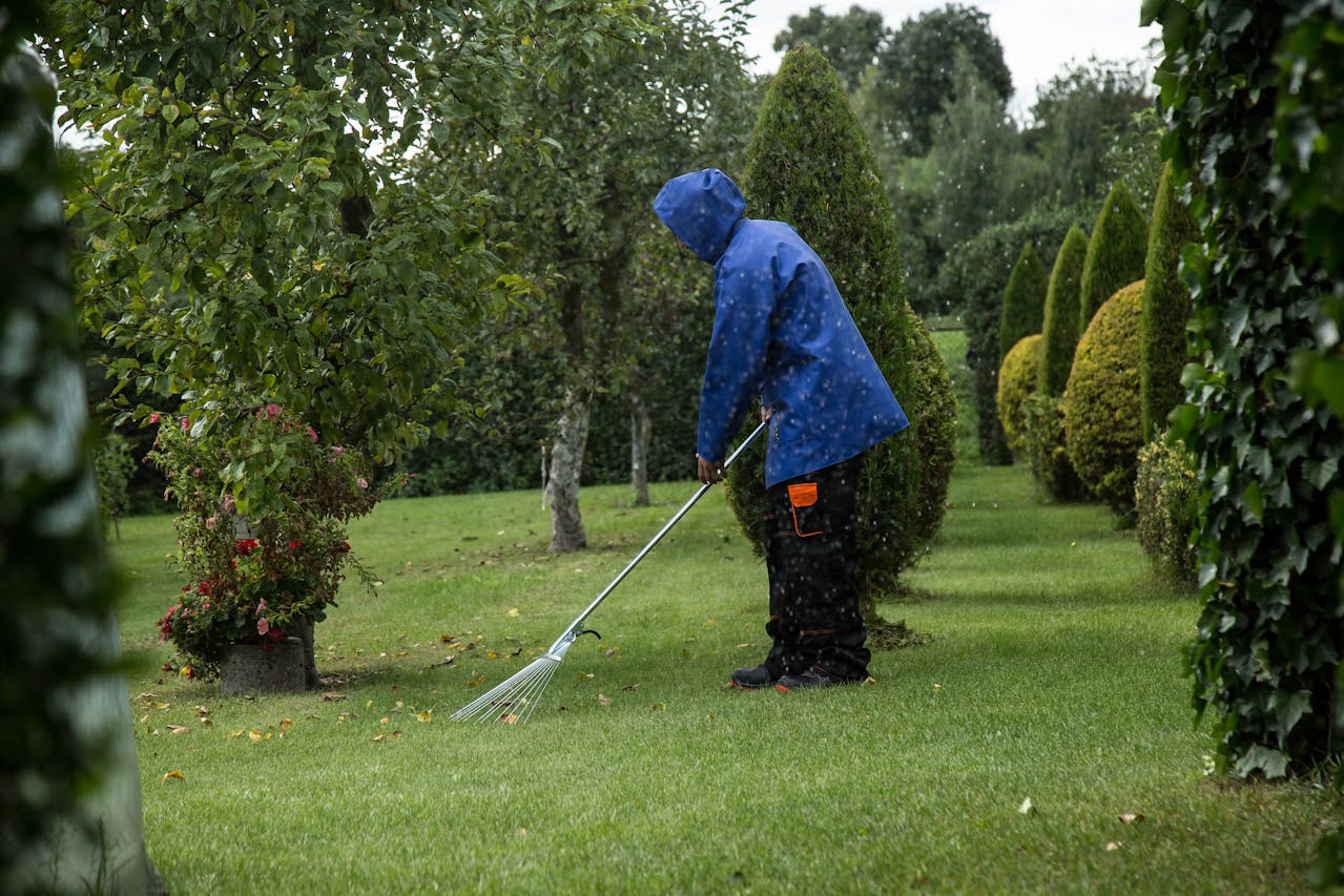 The Shocking Benefits Of Proper Tree Care You Never Knew About