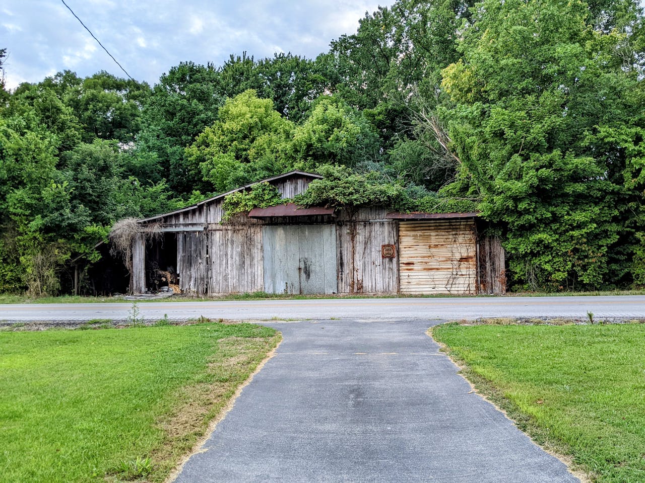 Why Overgrown Trees Could Be A Disaster Waiting To Happen